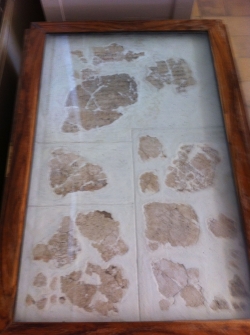 Bilam Deir Alla reconstructed plaster wall